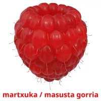 martxuka / masusta gorria cartes flash