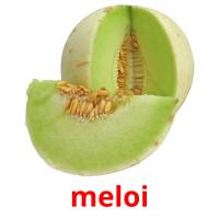 meloi picture flashcards