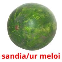 sandia/ur meloi picture flashcards