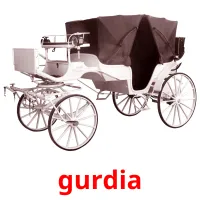 gurdia picture flashcards