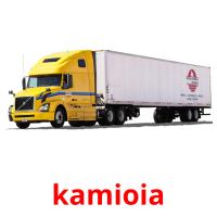 kamioia picture flashcards