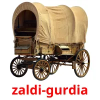 zaldi-gurdia picture flashcards