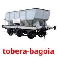 tobera-bagoia карточки энциклопедических знаний