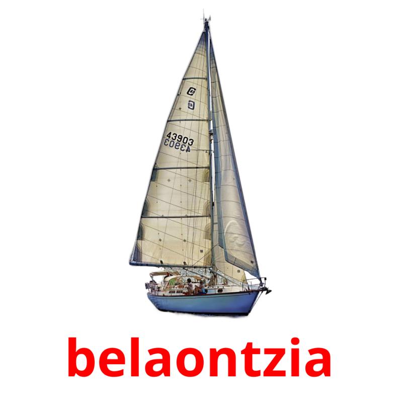 belaontzia picture flashcards