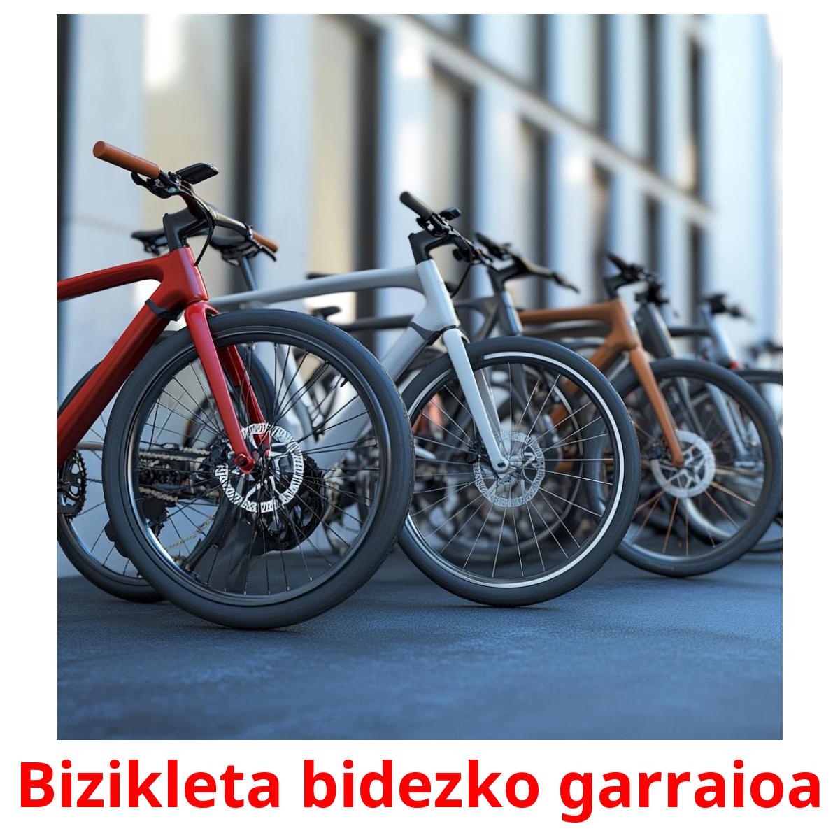 Bizikleta bidezko garraioa picture flashcards