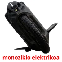 monoziklo elektrikoa Bildkarteikarten