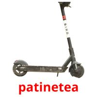 patinetea picture flashcards
