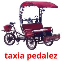 taxia pedalez picture flashcards