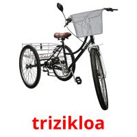 trizikloa picture flashcards