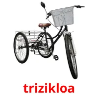 trizikloa Bildkarteikarten