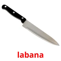 labana picture flashcards