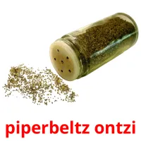 piperbeltz ontzi picture flashcards