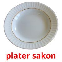 plater sakon flashcards illustrate