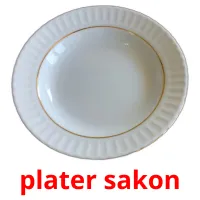 plater sakon picture flashcards