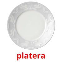 platera picture flashcards