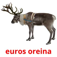 euros oreina picture flashcards