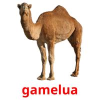 gamelua card for translate