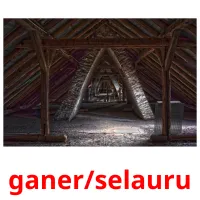 ganer/selauru cartões com imagens