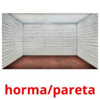 horma/pareta picture flashcards
