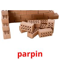 parpin flashcards illustrate