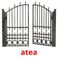 atea picture flashcards