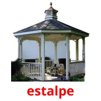 estalpe picture flashcards