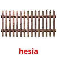 hesia picture flashcards