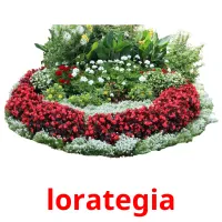lorategia picture flashcards