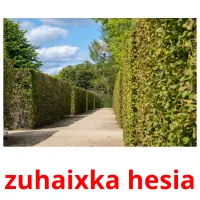 zuhaixka hesia picture flashcards