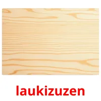 laukizuzen flashcards illustrate