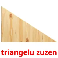 triangelu zuzen flashcards illustrate