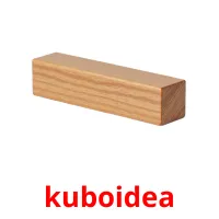 kuboidea карточки энциклопедических знаний