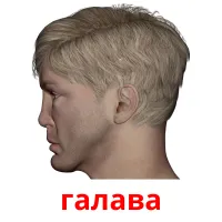 галава Tarjetas didacticas