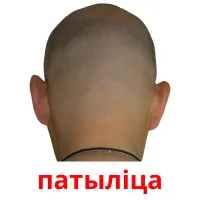 патыліца Tarjetas didacticas