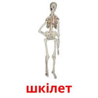 шкілет Tarjetas didacticas