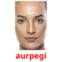 aurpegi picture flashcards