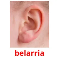 belarria ansichtkaarten