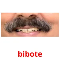 bibote ansichtkaarten
