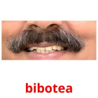 bibotea picture flashcards