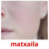 matxaila picture flashcards