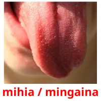 mihia / mingaina ansichtkaarten