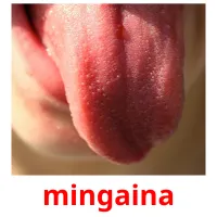 mingaina picture flashcards