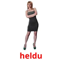 heldu flashcards illustrate