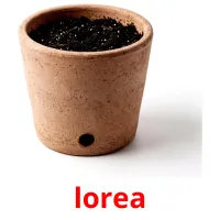 lorea kuvakortit