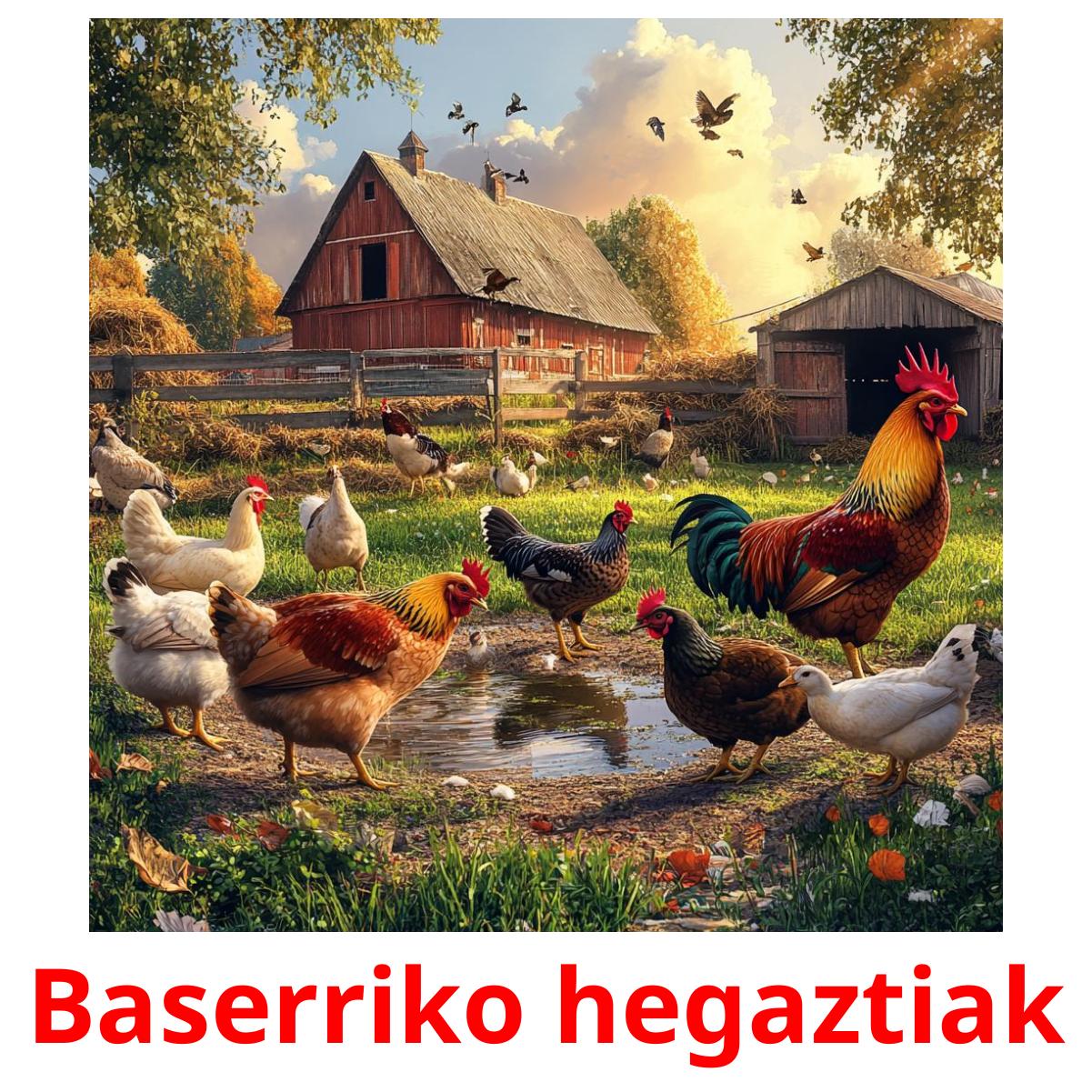 Baserriko hegaztiak Tarjetas didacticas