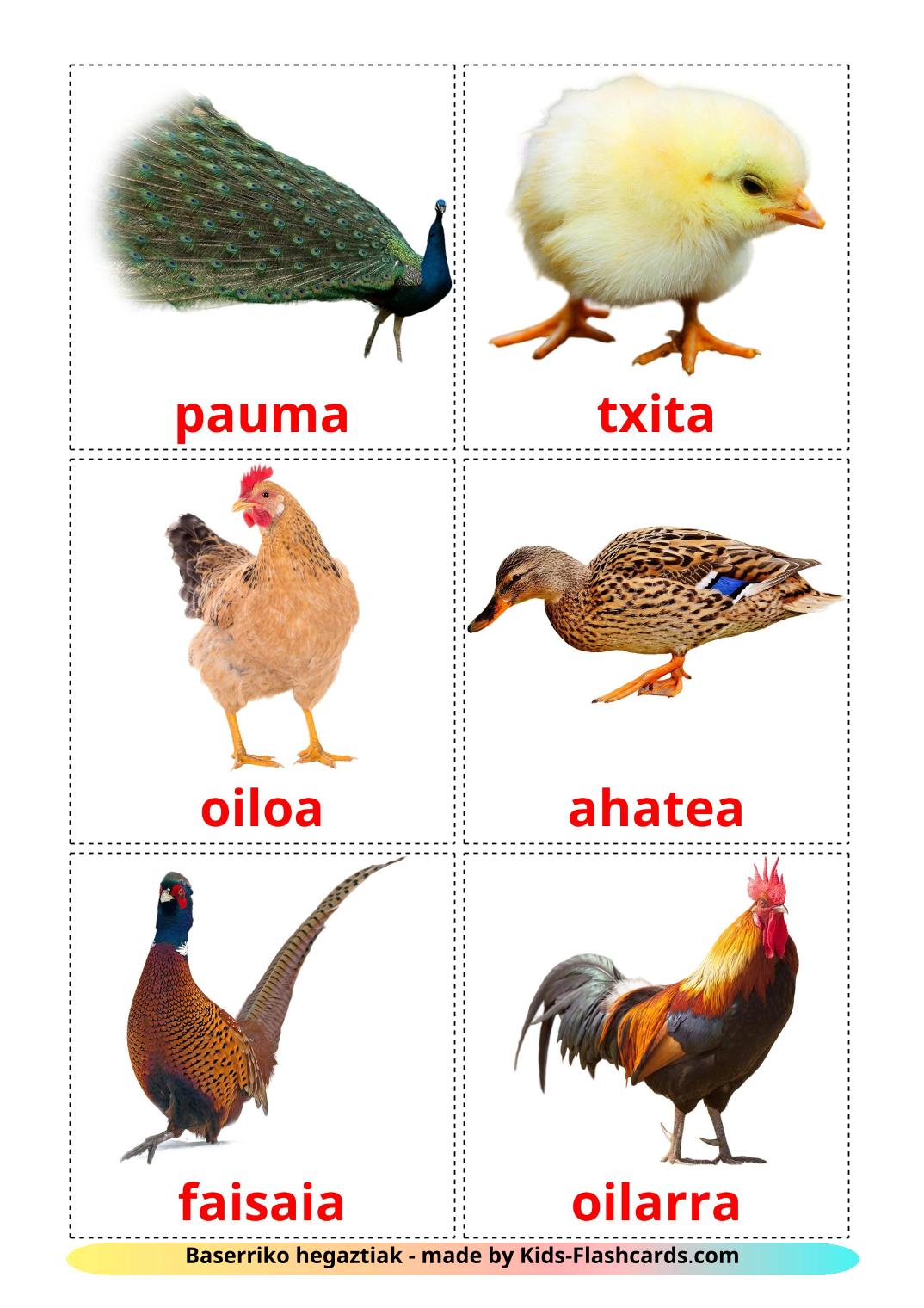 Uccelli di fattoria - 11 flashcards basco stampabili gratuitamente