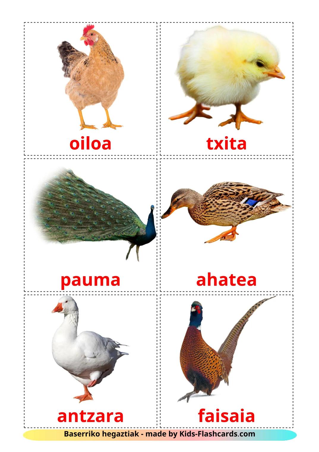 Bauernhof Vögel - 12 kostenlose, druckbare Baskische Flashcards 