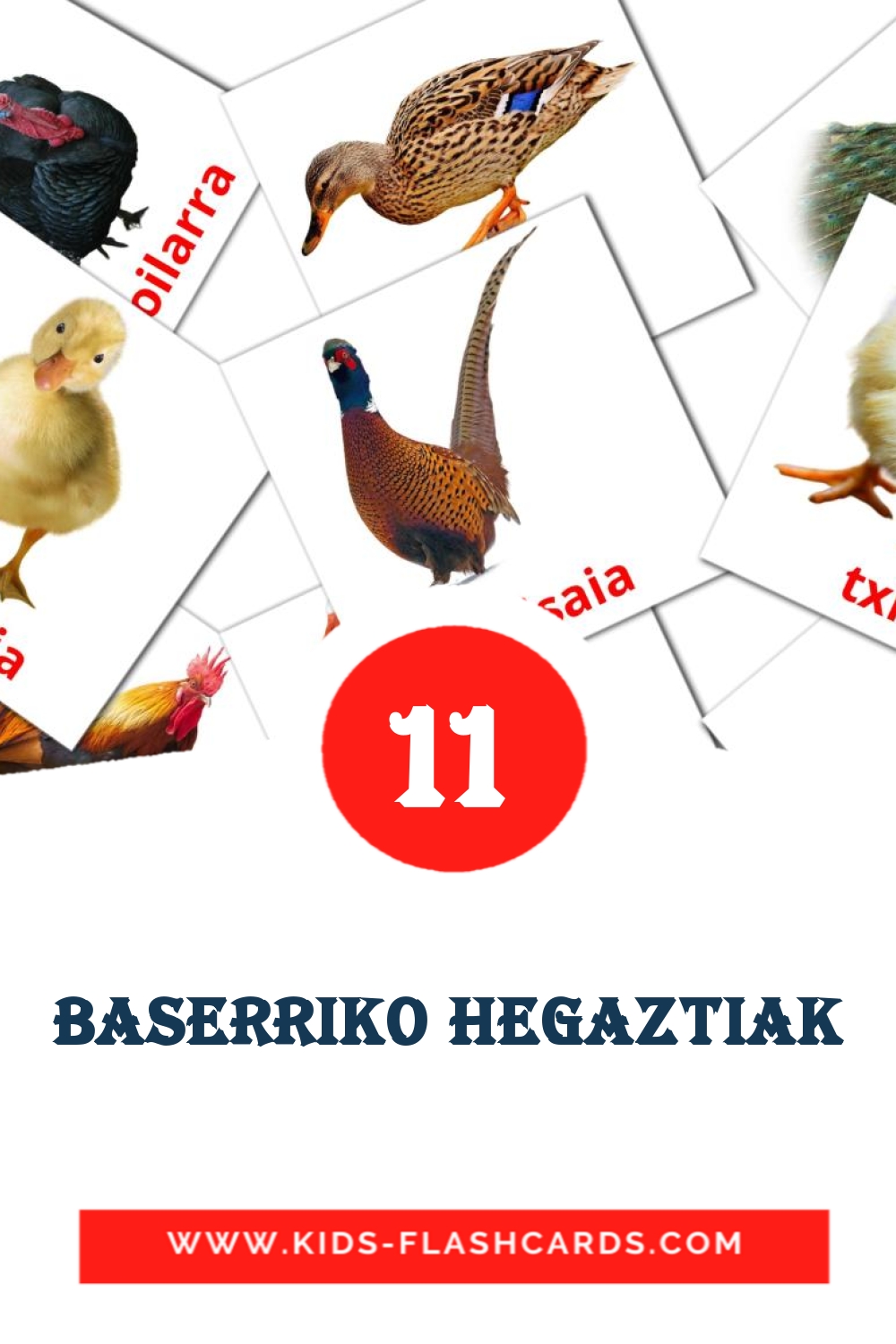 11 Cartões com Imagens de Baserriko hegaztiak para Jardim de Infância em basco