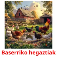 Baserriko hegaztiak Bildkarteikarten