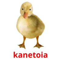 kanetoia Bildkarteikarten